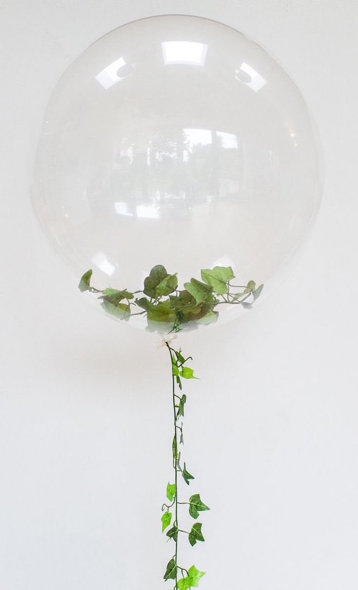 Sur Pinterest Les ballons transparents remplis de confettis font sensation en | Accro-Jeux