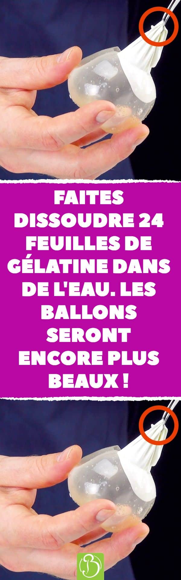Sur Pinterest Faites dissoudre 24 feuilles de gélatine dans de l'eau. Les ballons | Accro-Jeux