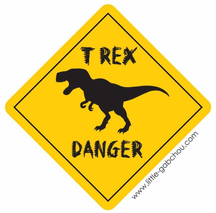 Sur Pinterest Fête d'anniversaire sur le thème des dinosaures pour les 4 ans de | Accro-Jeux