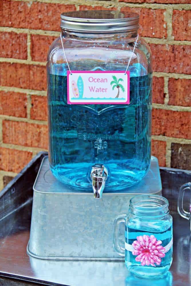 Sur Pinterest Luau / Hawaiian Birthday Party Ideas | Photo 7 of 24 | Accro-Jeux