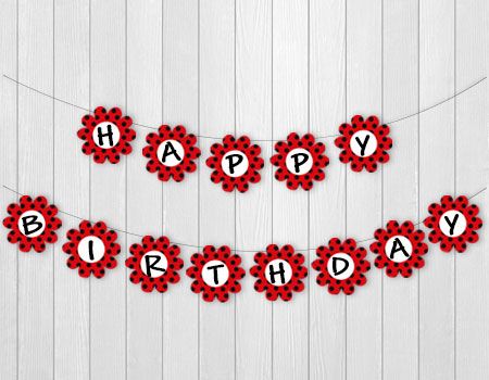 Sur Pinterest Interesting Ideas for a Ladybug-themed Birthday Party | Accro-Jeux