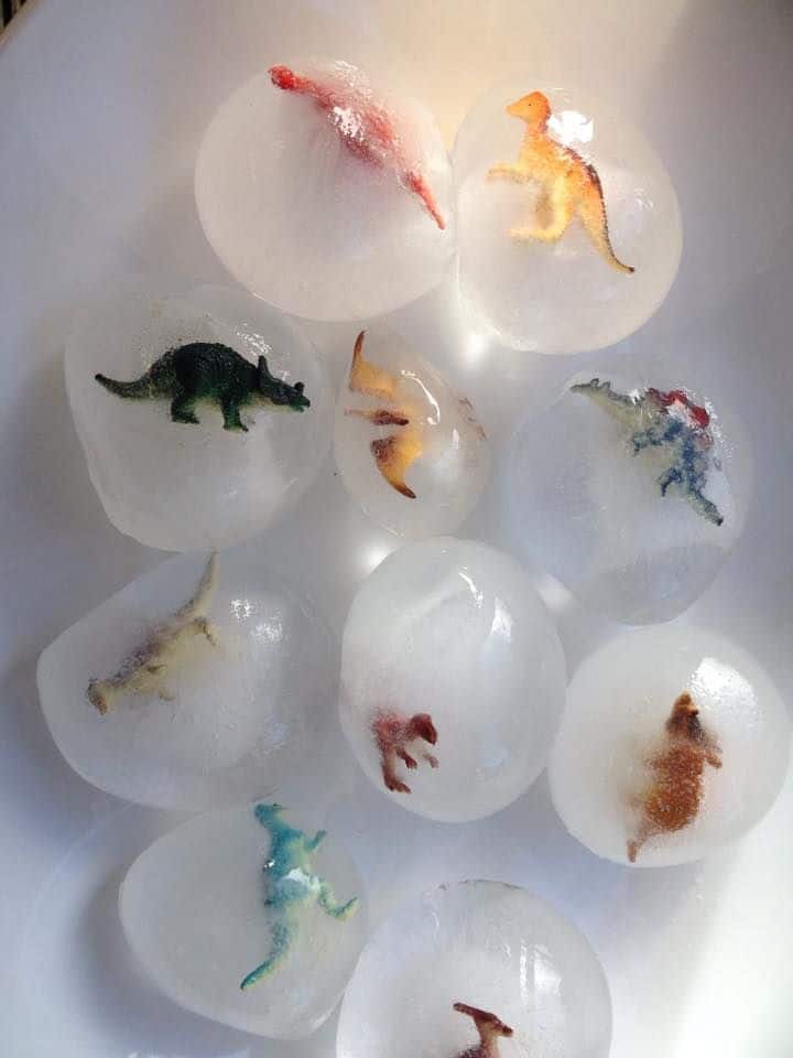 Sur Pinterest Déposer un dinosaure dans un ballon rempli d'eau. Mettre au | Accro-Jeux