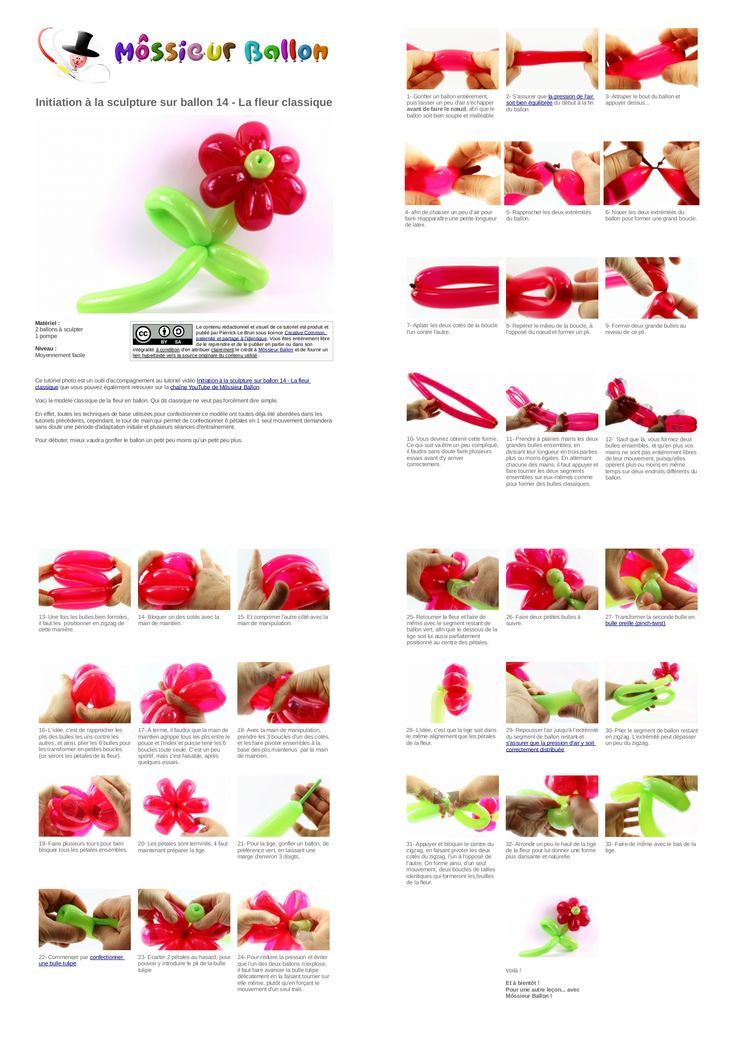 Sur Pinterest Fiche technique : Initiation à la sculpture sur ballon 14 - La fleur | Accro-Jeux
