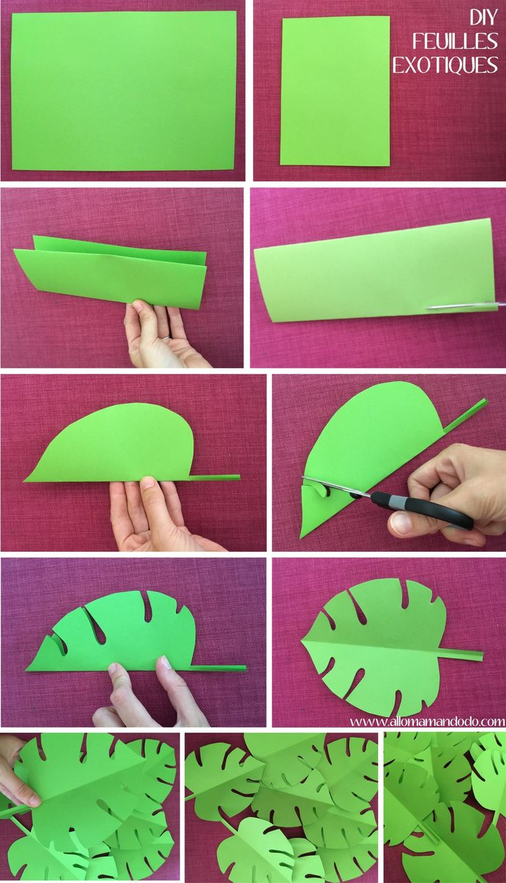 Sur Pinterest Anniversaire Vaiana: Déco, sweet table et activités faciles pour un | Accro-Jeux